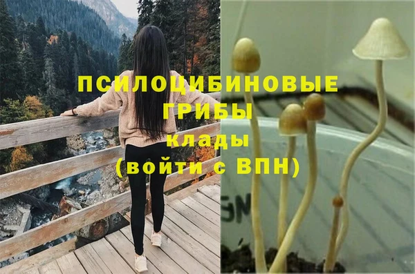героин Елизово