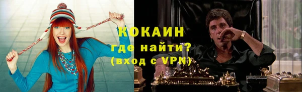 крисы Елабуга