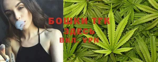 крисы Елабуга