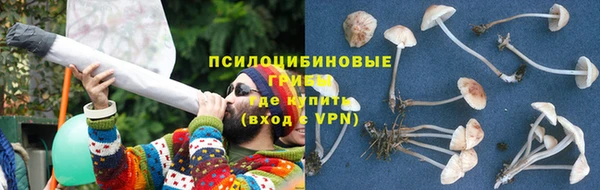 крисы Елабуга