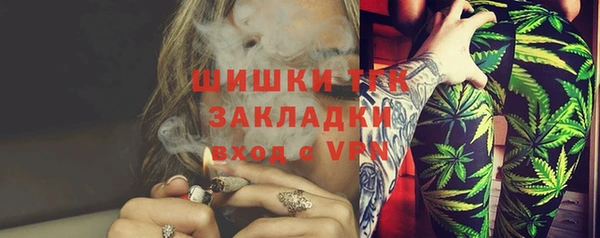 крисы Елабуга